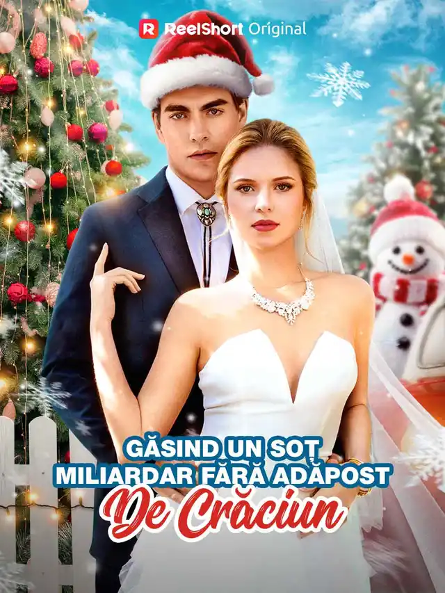 Găsind un soț miliardar fără adăpost de crăciun