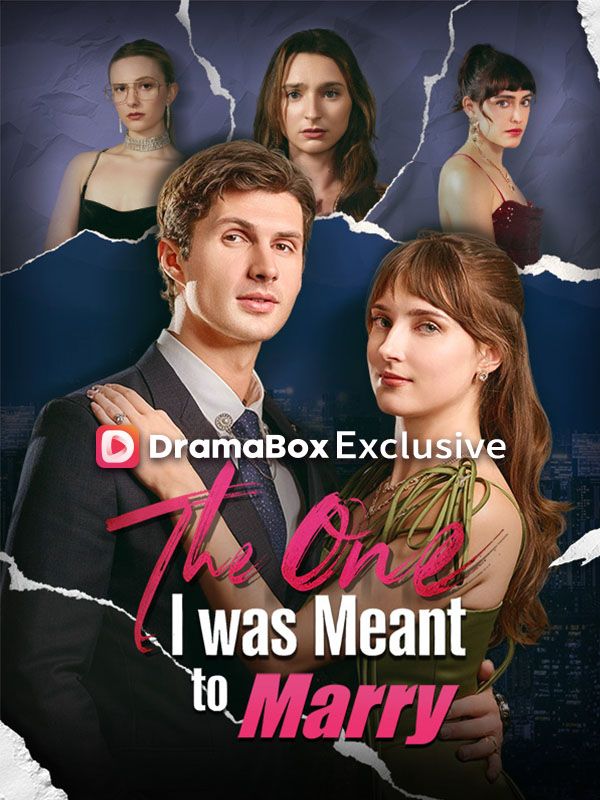 The One I was Meant to Marry