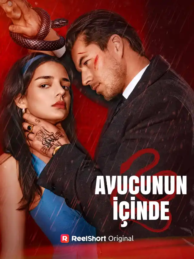 Avucunun İ&ccedil;inde